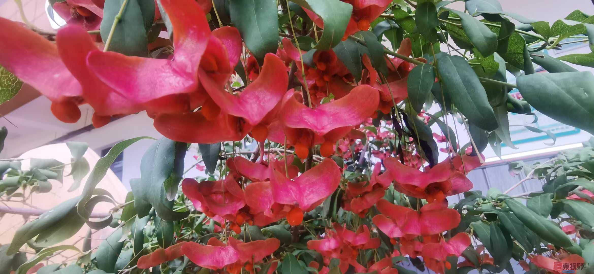 贺承军_2025-11-25_123450_133 (3).jpg