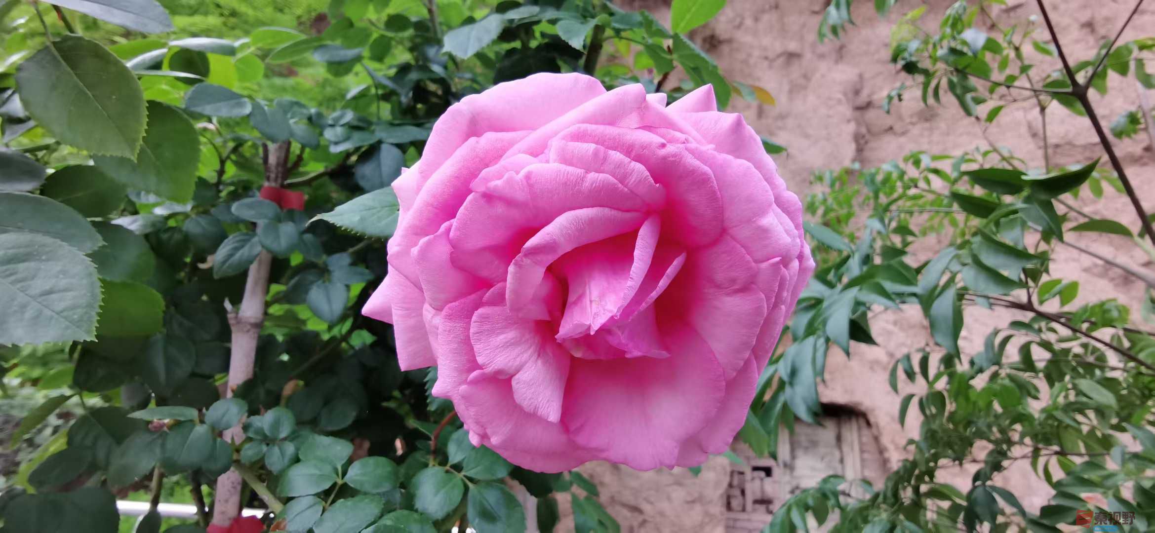 贺承军_2025-11-25_123450_133 (5).jpg