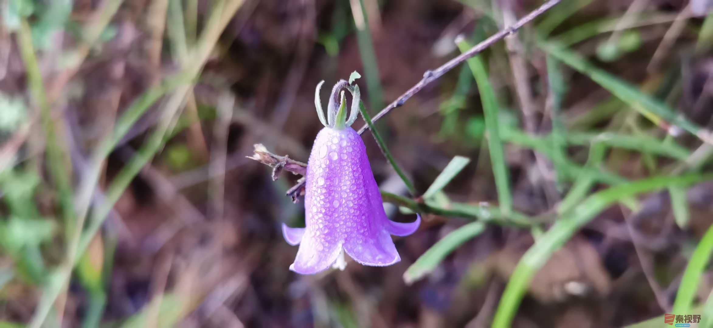 贺承军_2025-11-25_123450_133 (8).jpg