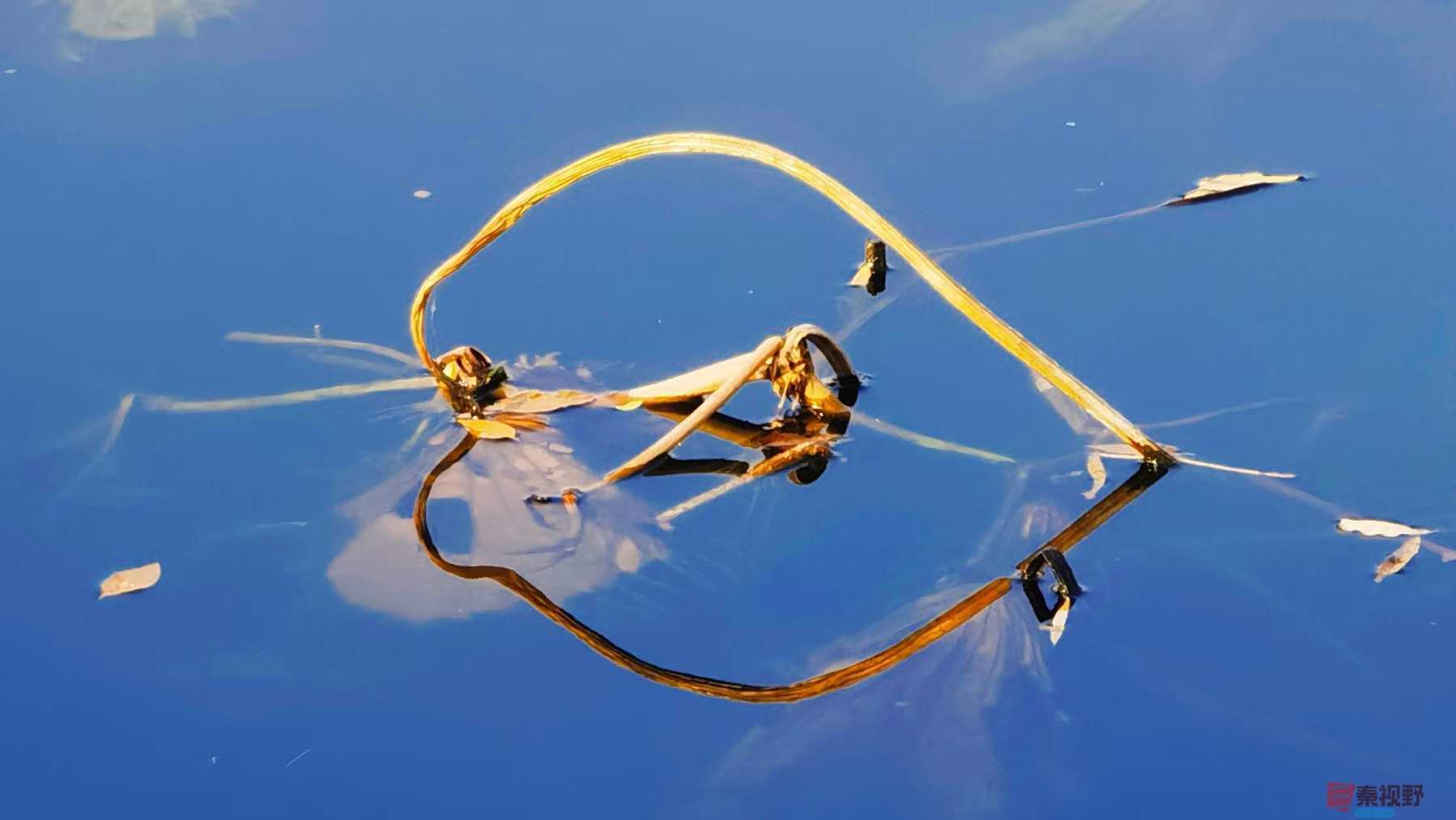 马世国_2025-11-24_223735_362 (5).jpg