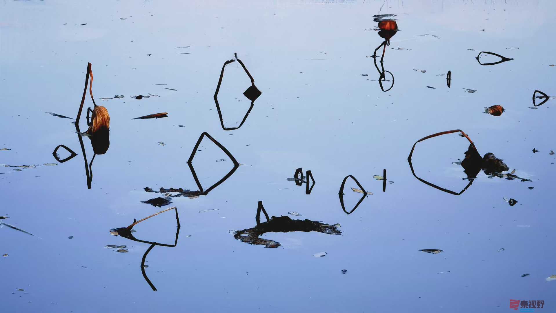 马世国_2025-11-24_223735_362 (6).jpg