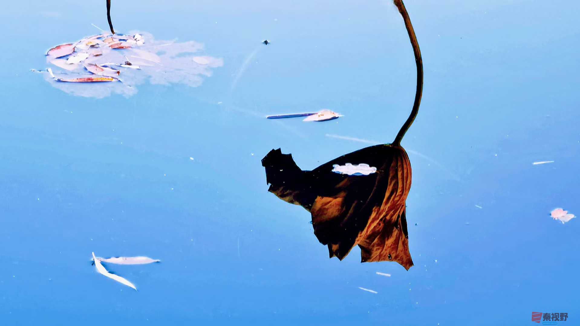 马世国_2025-11-24_223735_362 (2).jpg