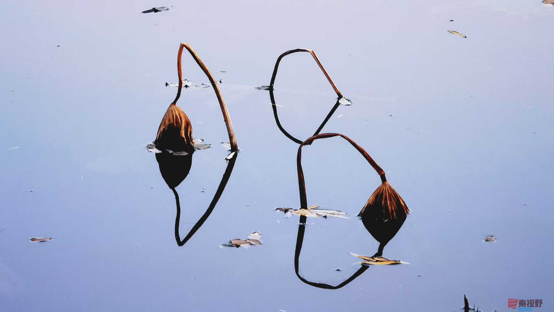 马世国_2025-11-24_223735_362 (3).jpg