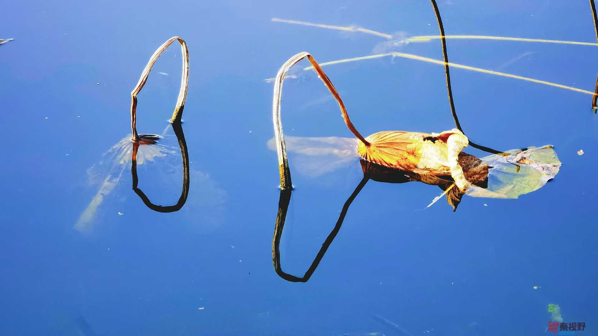 马世国_2025-11-24_223735_362 (8).jpg