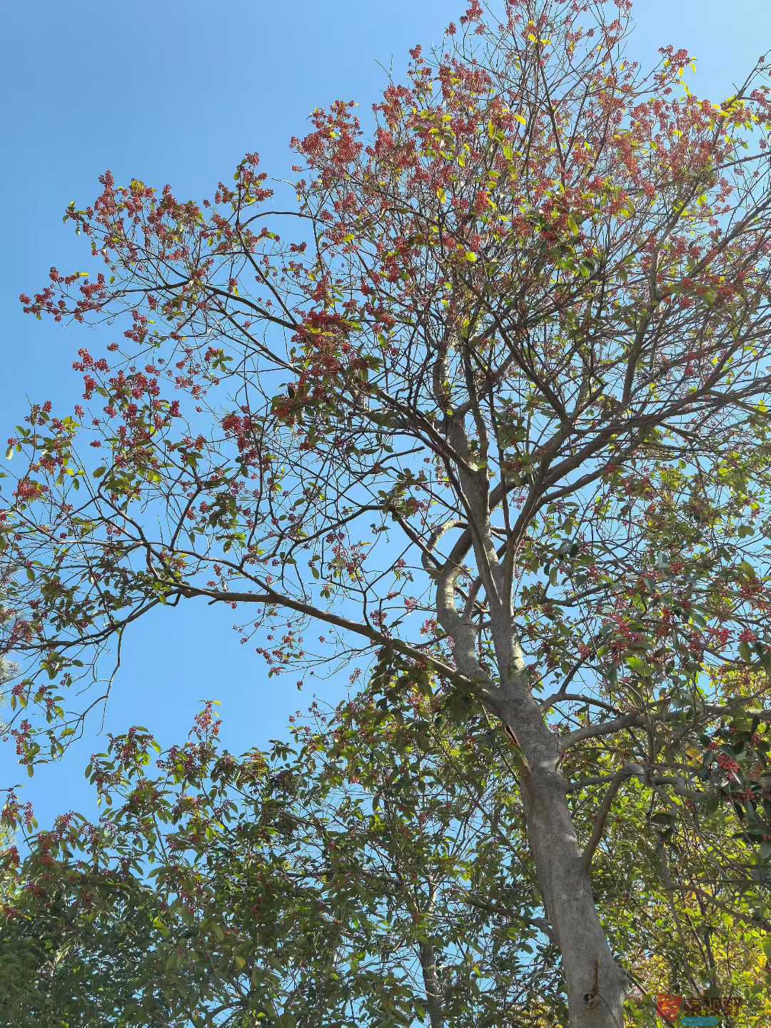 王子文_2025-11-25_122709_388 (3).jpg