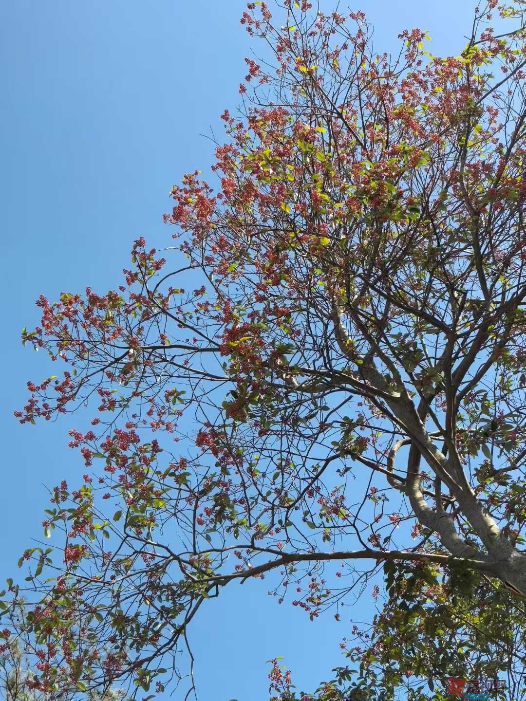 王子文_2025-11-25_122709_388 (6).jpg