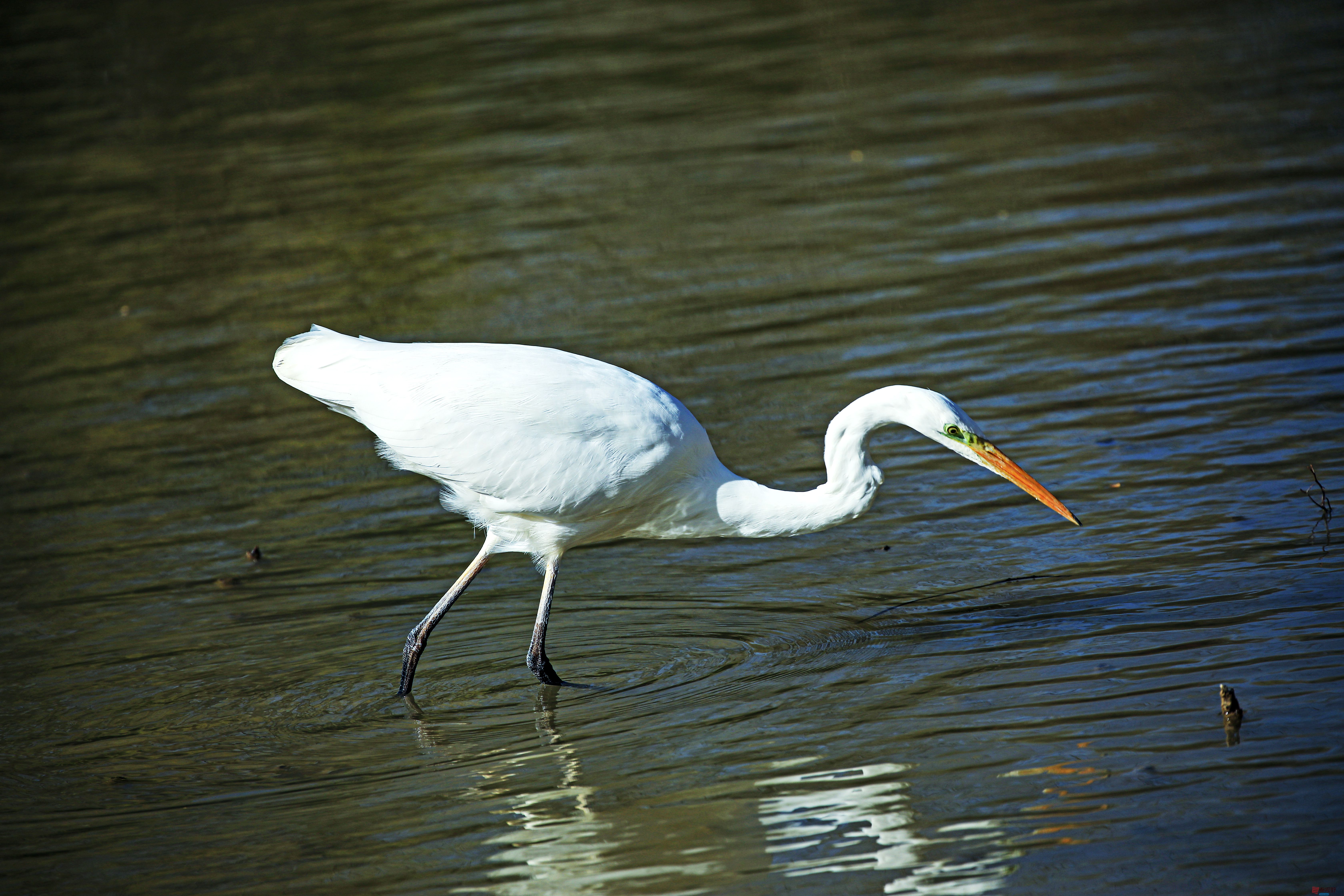 范焕章_20251125045332_810_149 (4).jpg