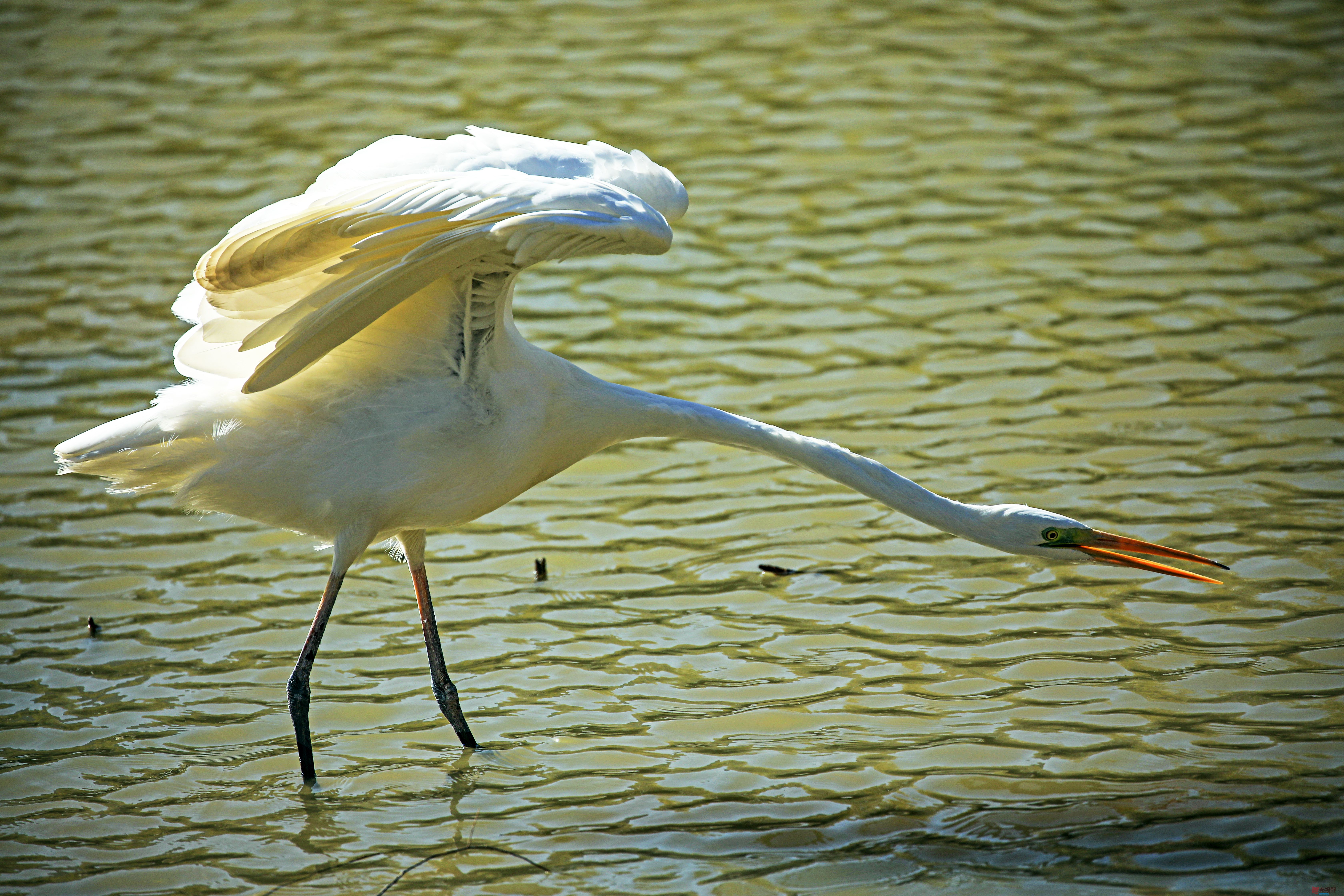 范焕章_20251125045332_810_149 (7).jpg