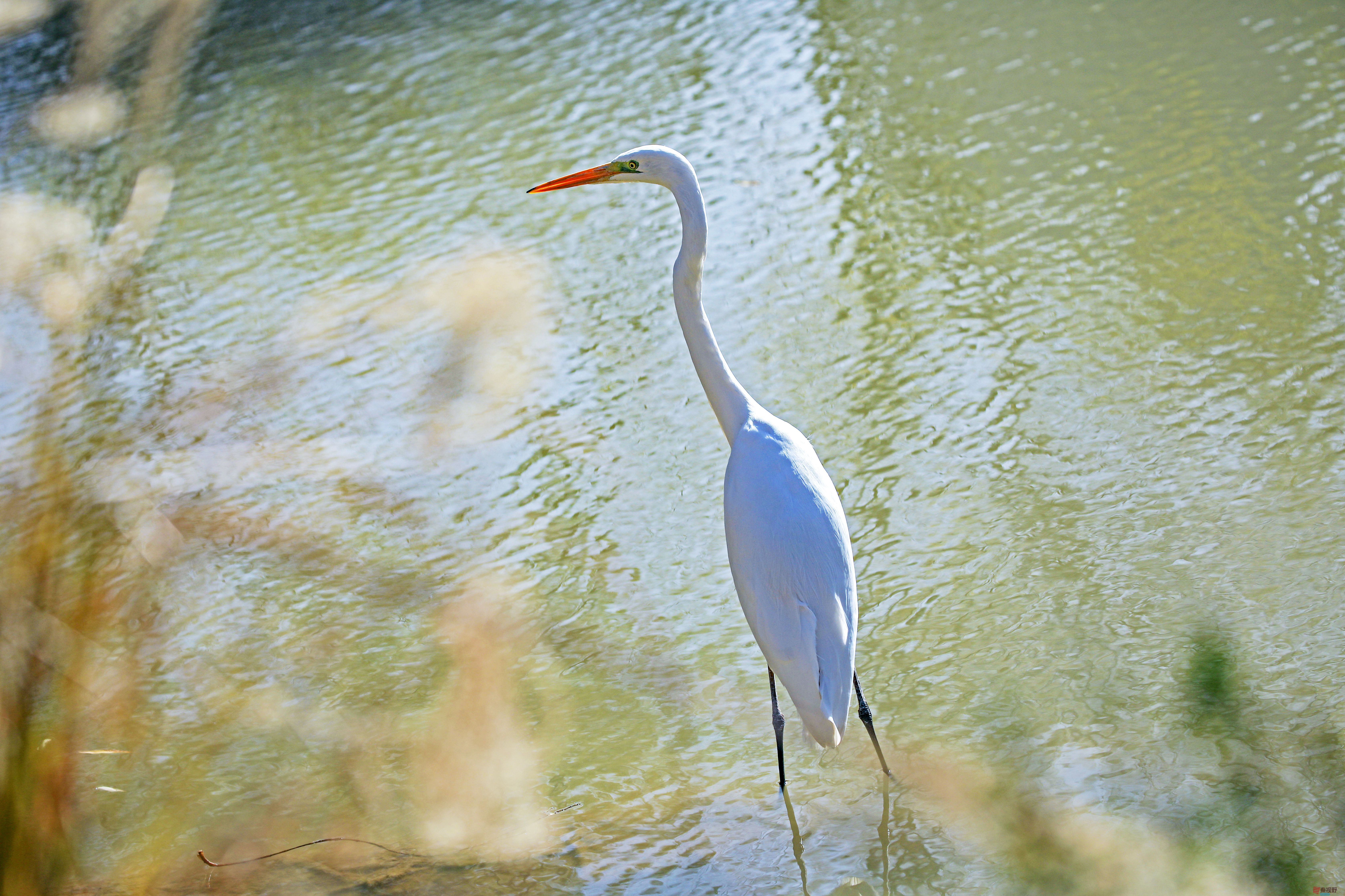 范焕章_20251125045332_810_149 (8).jpg