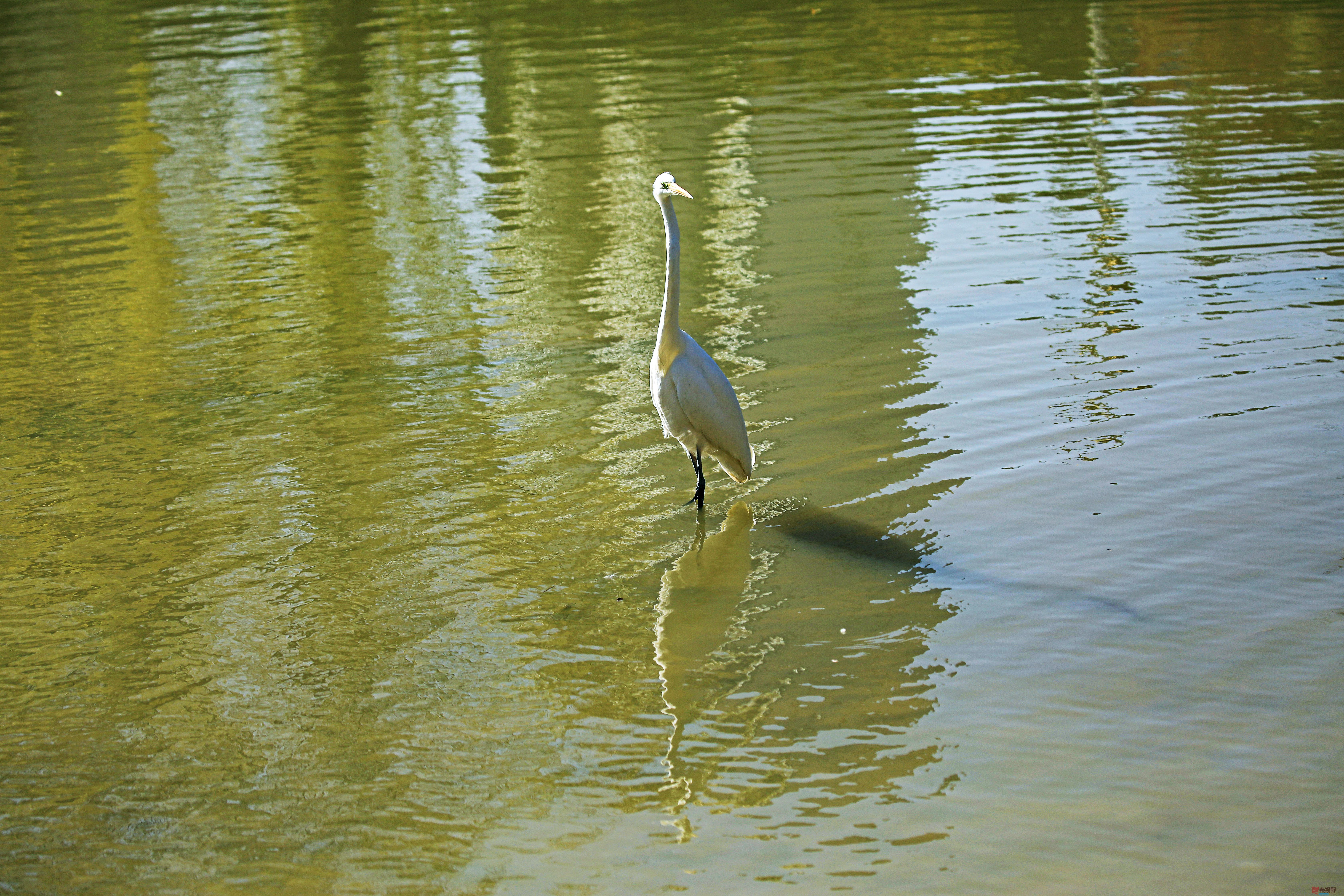 范焕章_20251125045332_810_149 (9).jpg