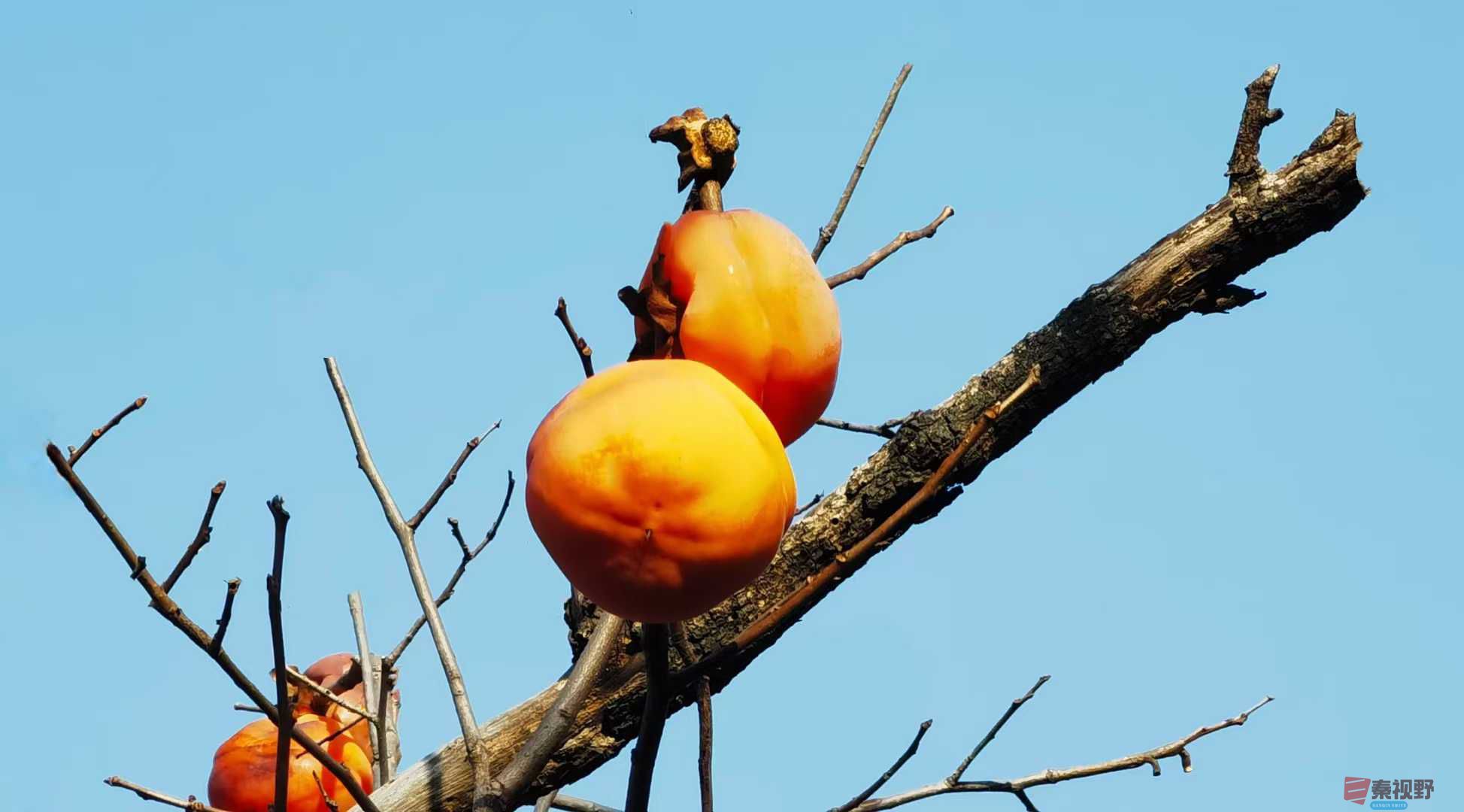 马世国_2025-11-28_161614_121 (4).jpg