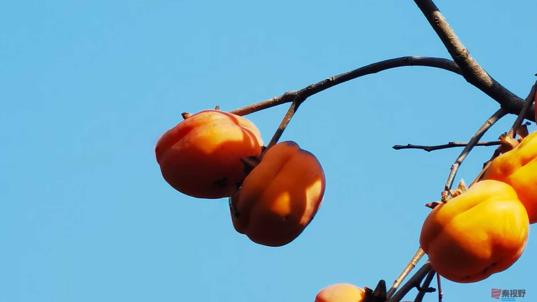 马世国_2025-11-28_161614_121 (3).jpg