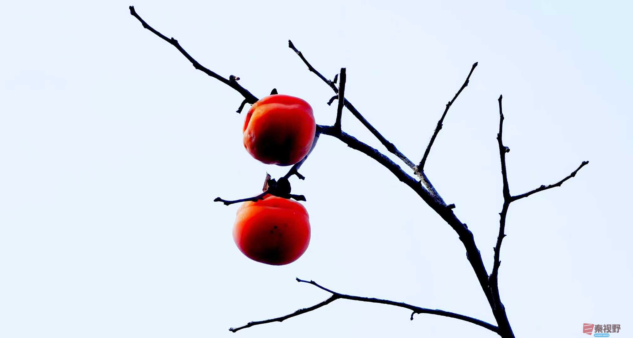 马世国_2025-11-28_161614_121 (7).jpg