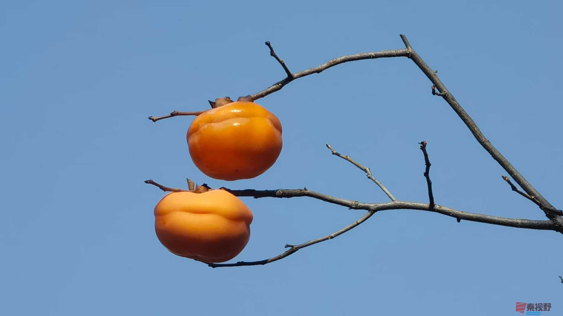 马世国_2025-11-28_161614_121 (8).jpg