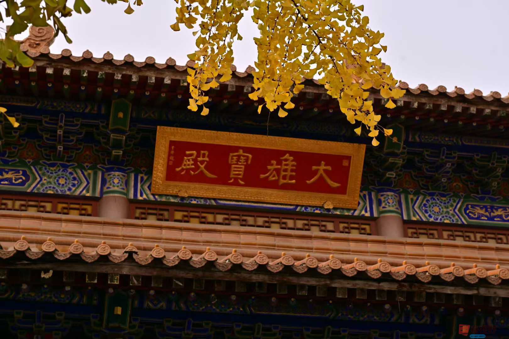 张高翔_2025-11-26_143902_990 (7).jpg