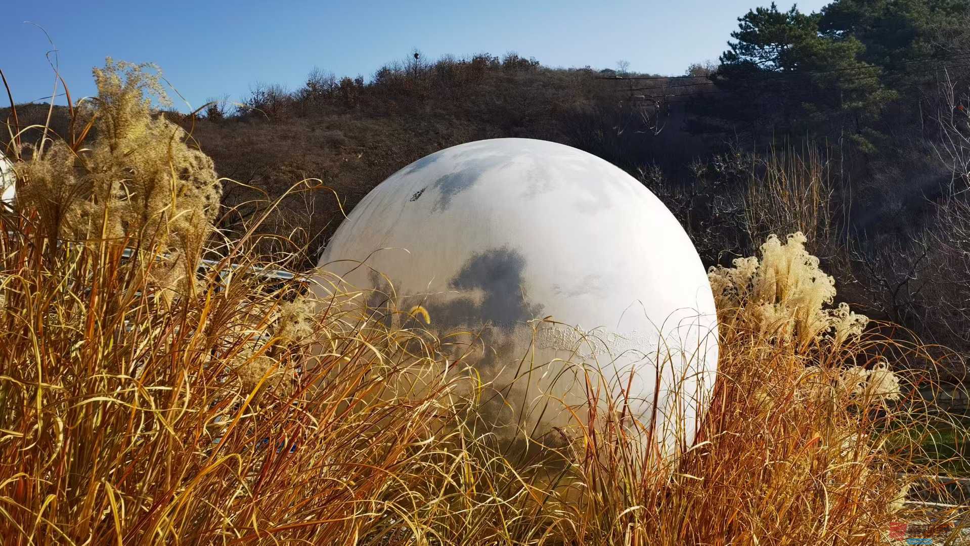 马世国_2025-11-28_162703_639 (2).jpg