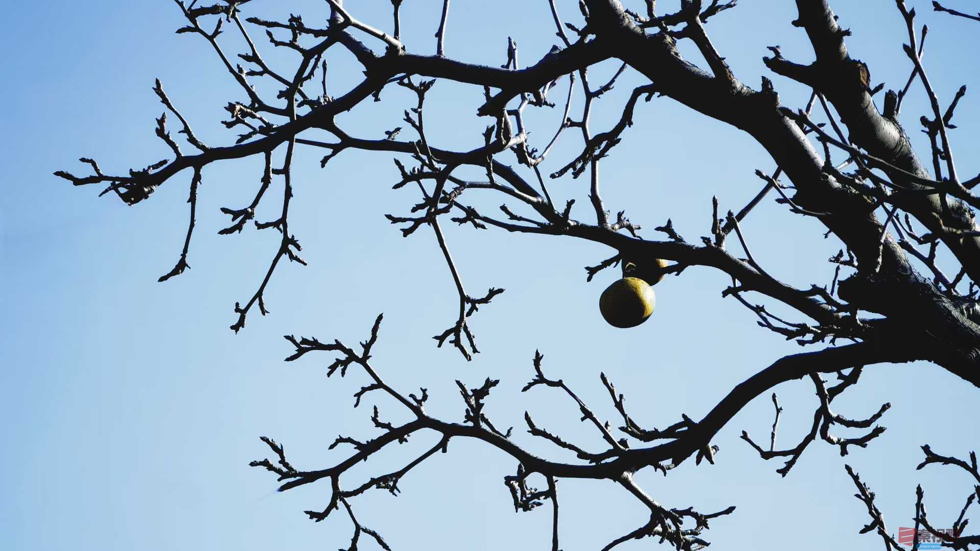 马世国_2025-11-28_162703_639 (3).jpg