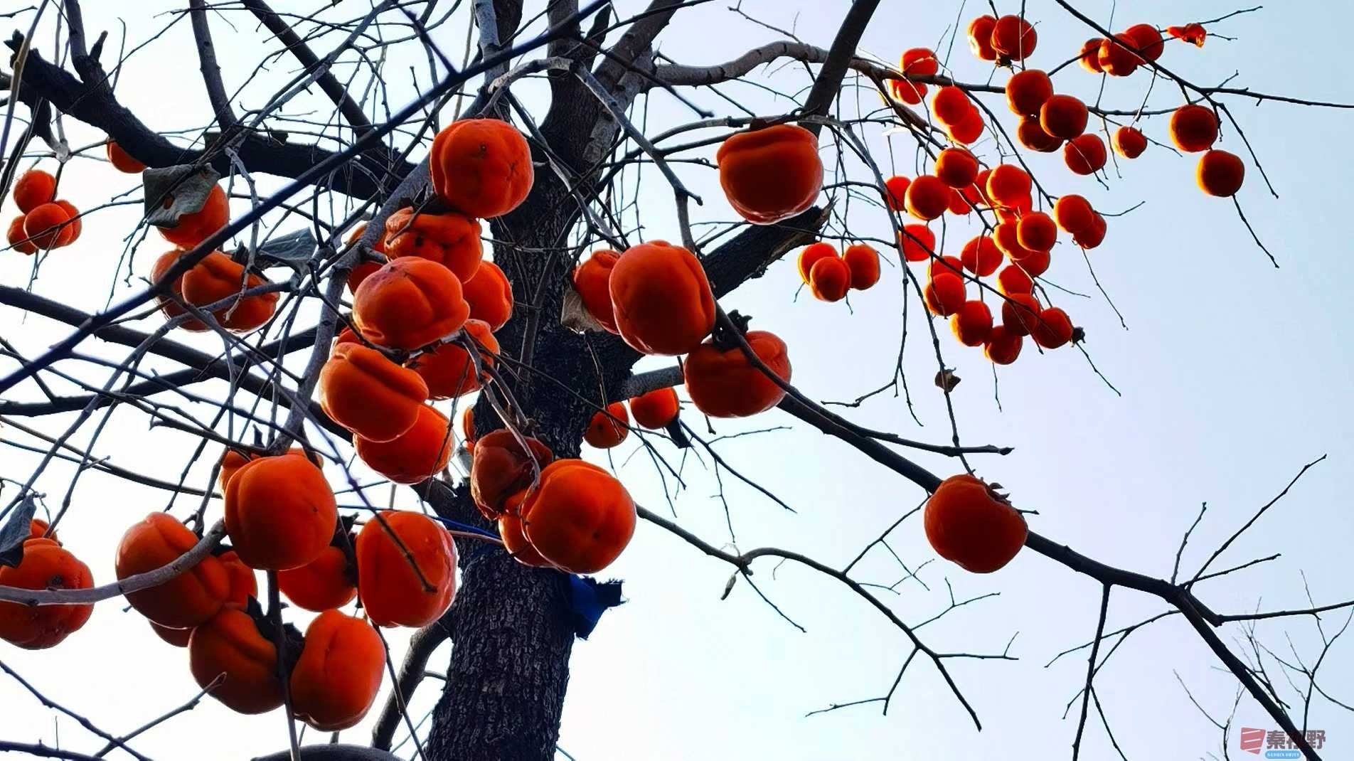 马世国_2025-11-28_162703_639 (4).jpg