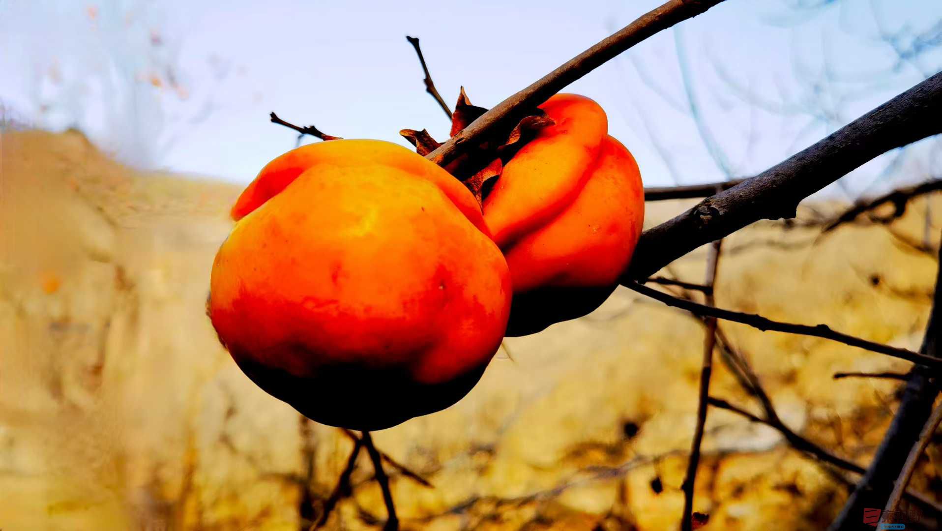 马世国_2025-11-28_162703_639 (8).jpg