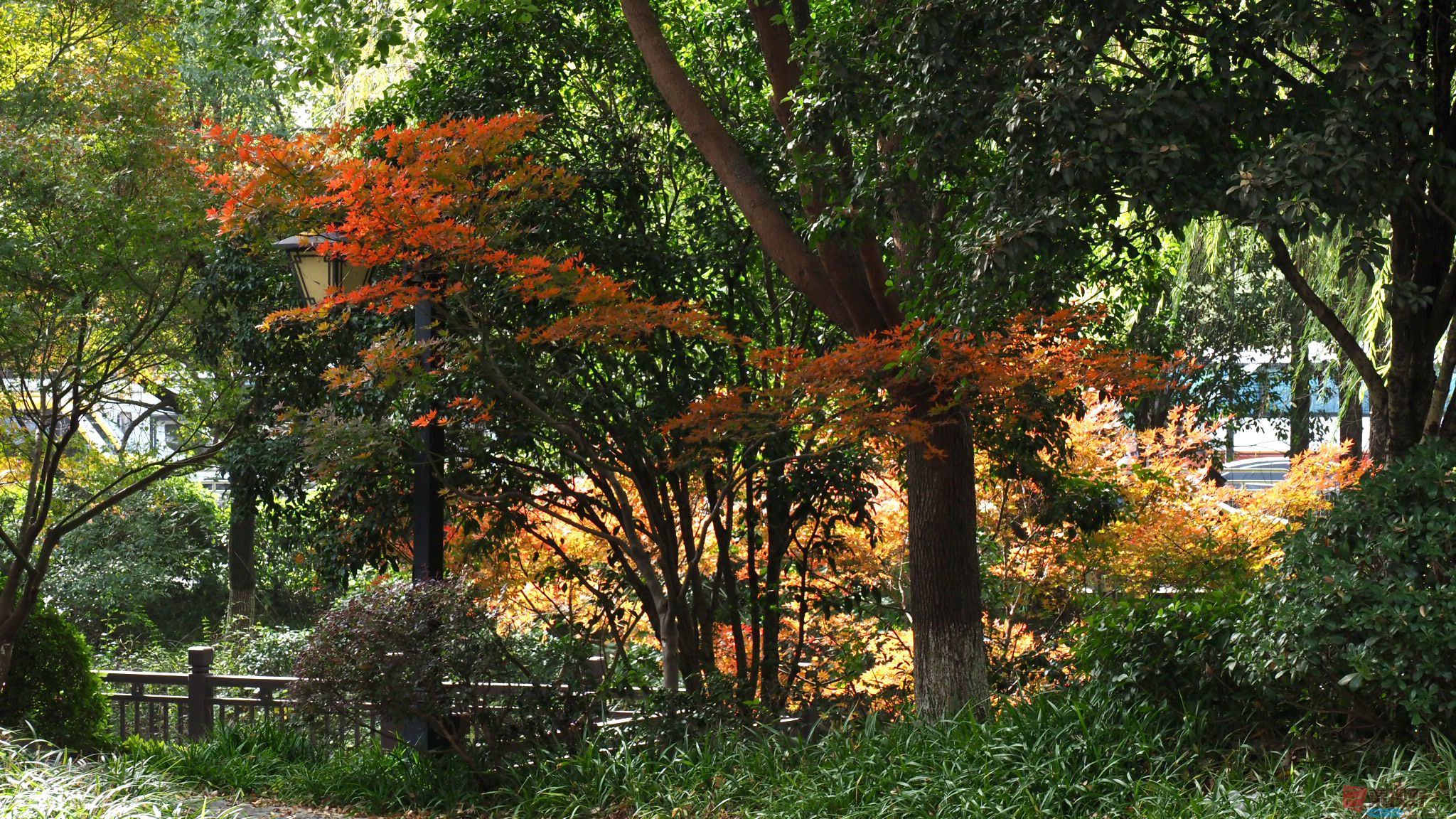 黄风升_20251128203621_91_1164 (4).jpg