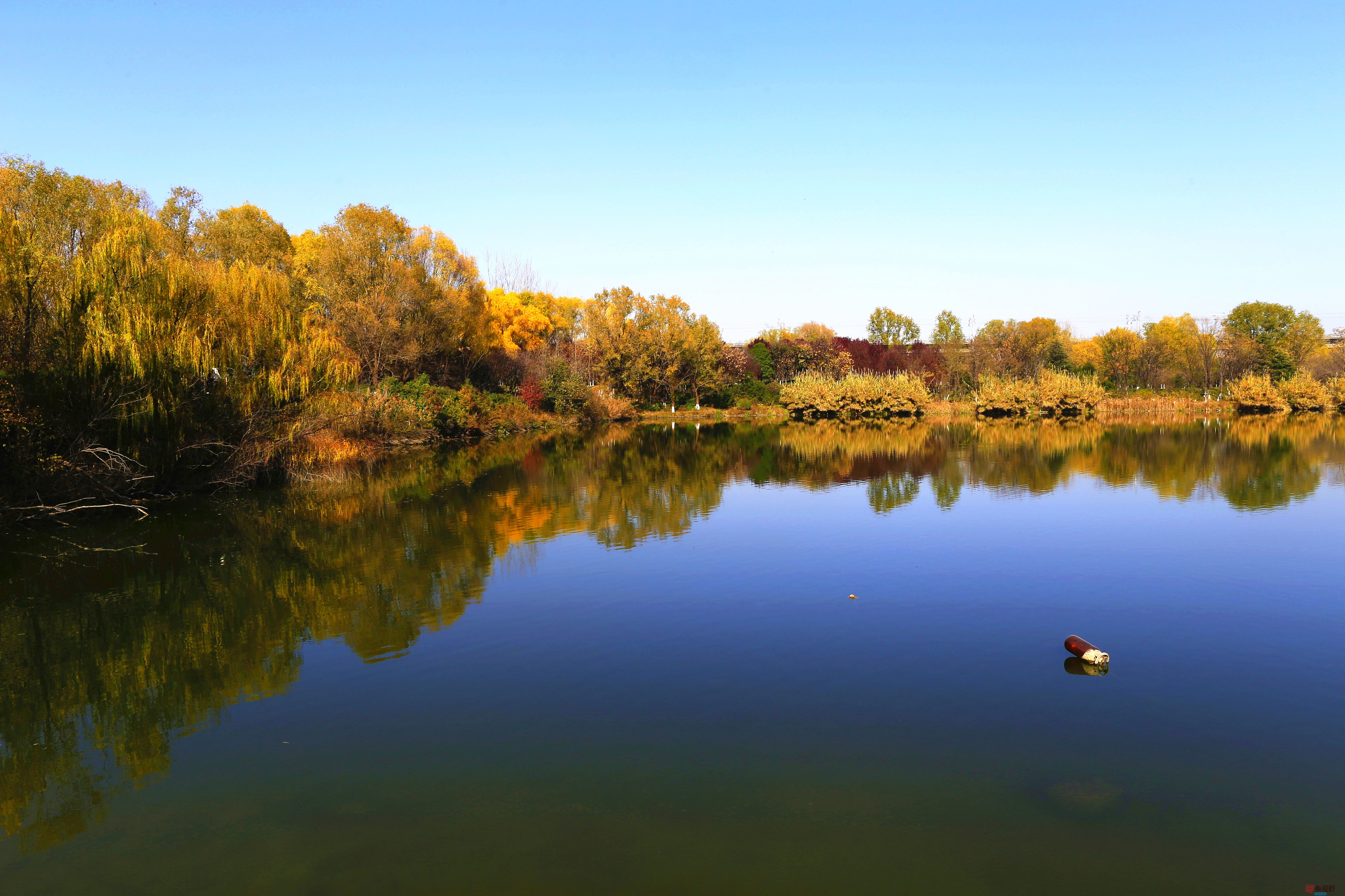 寇群利_20251201153937_2647_104 (2).jpg