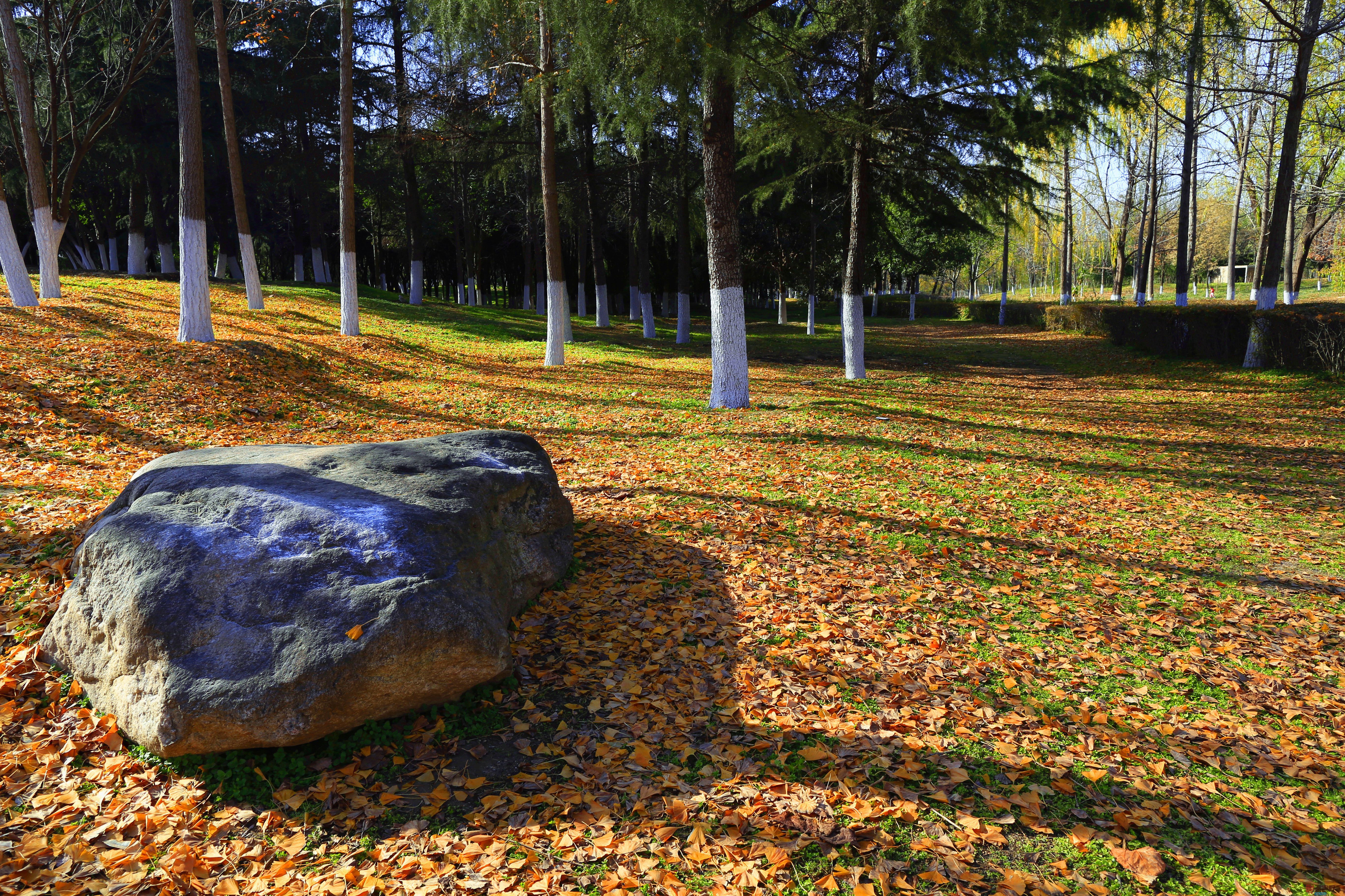 寇群利_20251201153937_2647_104 (3).jpg