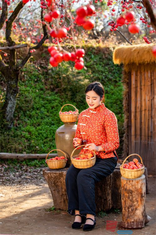 三秦初冬【摄影张宝光】