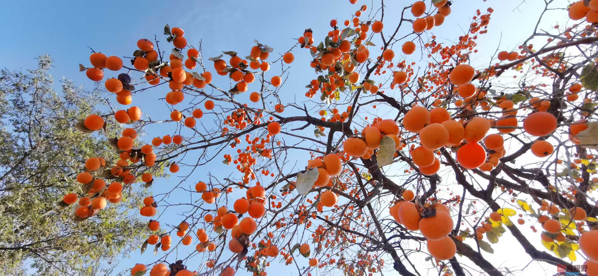 贺承军_2025-11-29_200650_763 (3).jpg