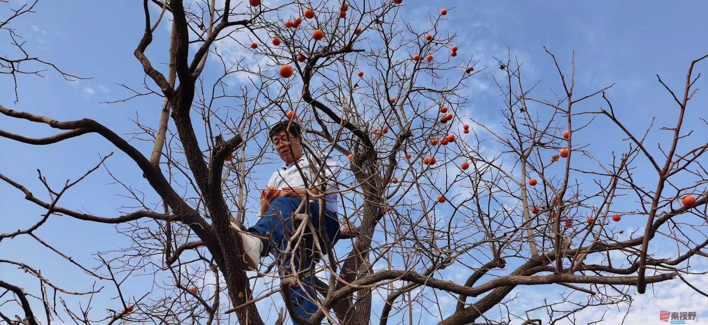 贺承军_2025-11-29_200650_763 (5).jpg