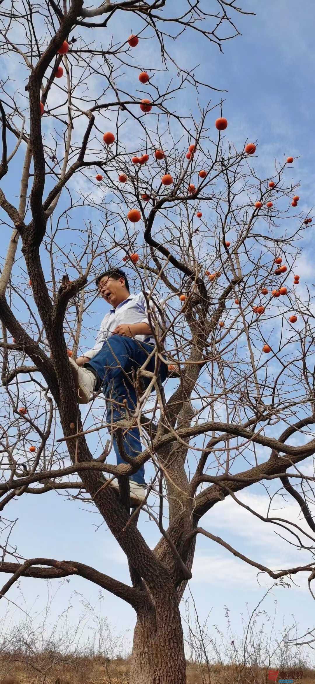 贺承军_2025-11-29_200650_763 (6).jpg