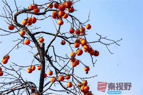 张宝光压缩_20251213173045_4516_463 (7).jpg