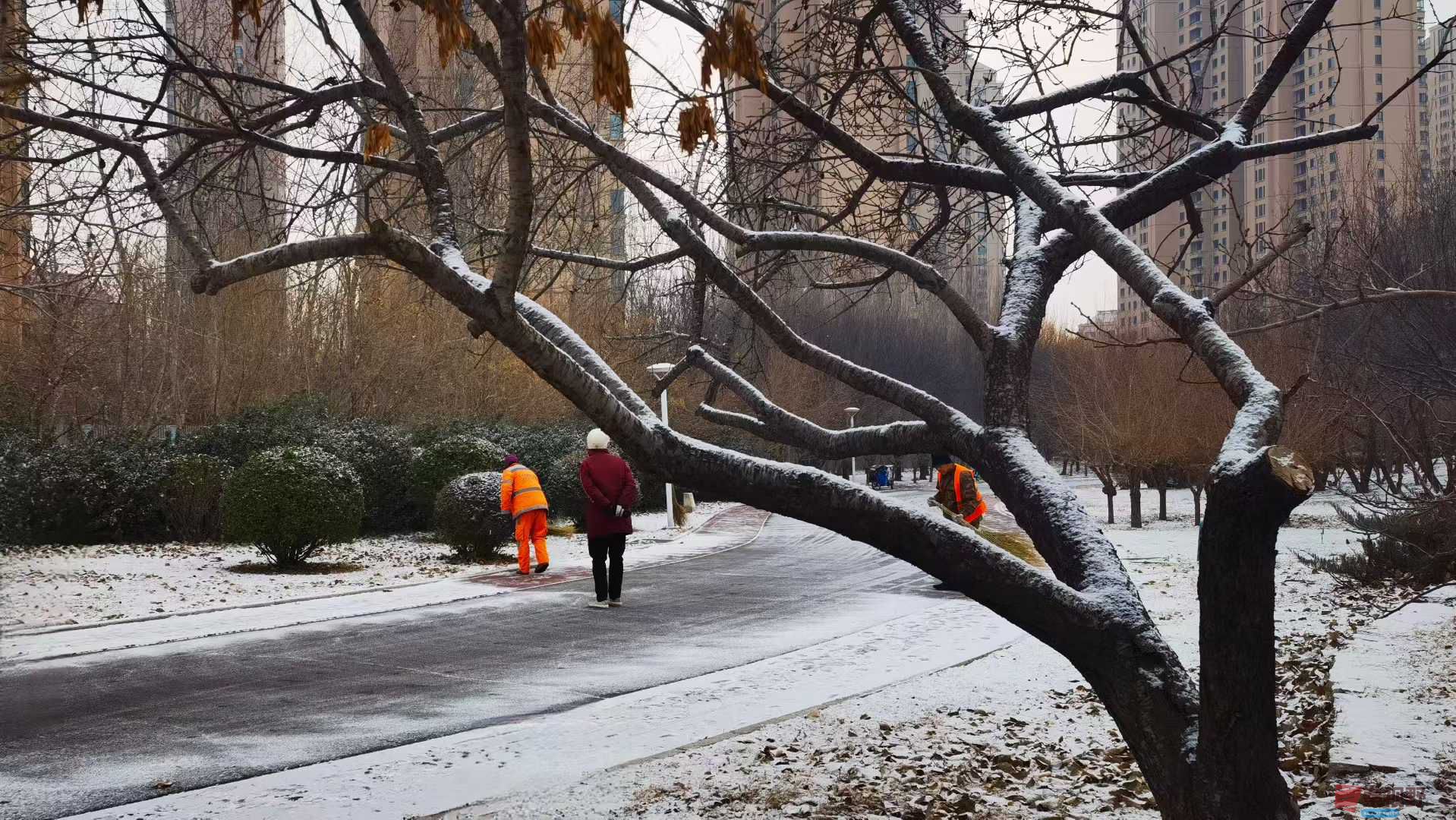 马世国_2025-12-13_144648_902 (4).jpg