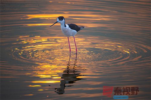 刘胜军压缩_20251213154916_4486_463 (3).jpg