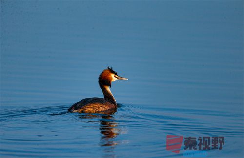 刘胜军压缩_20251213154916_4486_463 (4).jpg