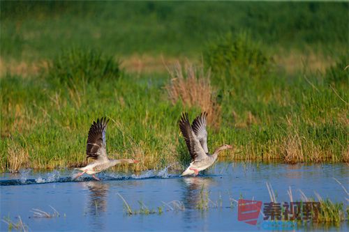 刘胜军压缩_20251213154916_4486_463 (5).jpg