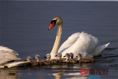 刘胜军压缩_20251213154916_4486_463 (10).jpg