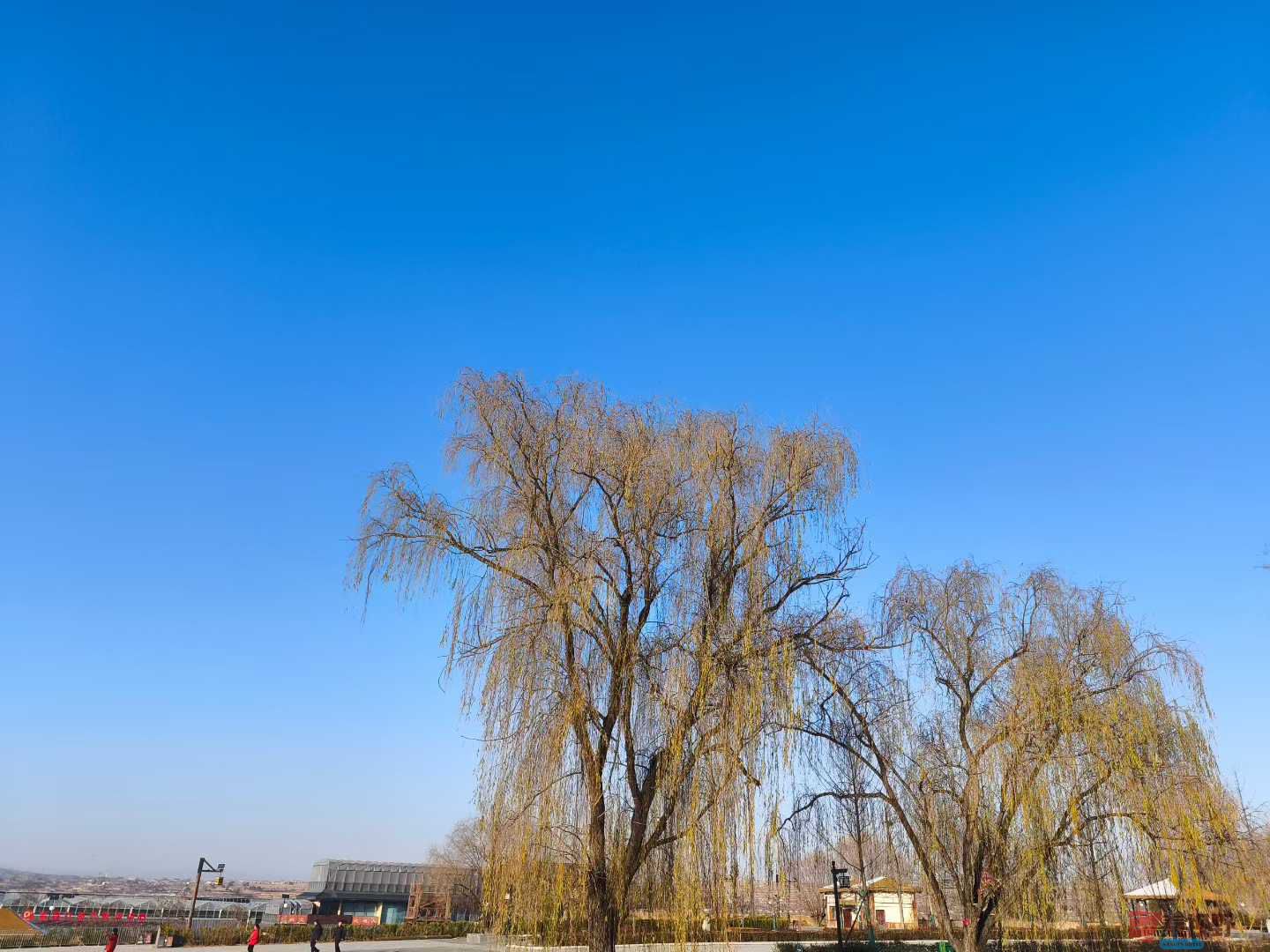 侯元立_2025-12-14_172100_688 (7).jpg