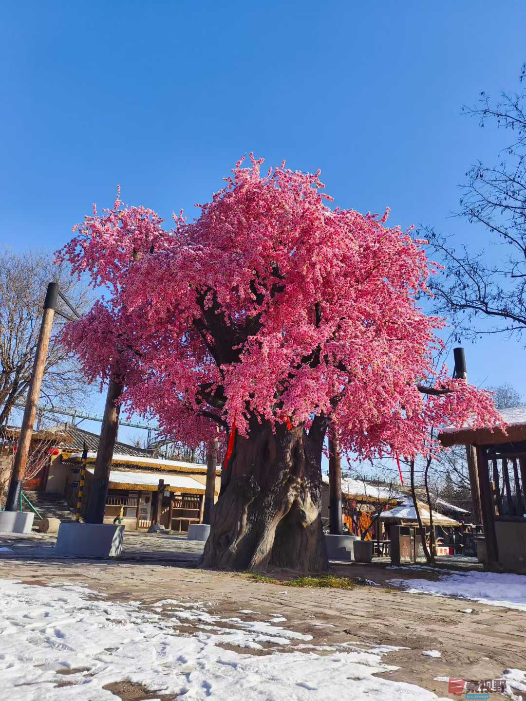 侯元立_2025-12-14_172100_688 (9).jpg