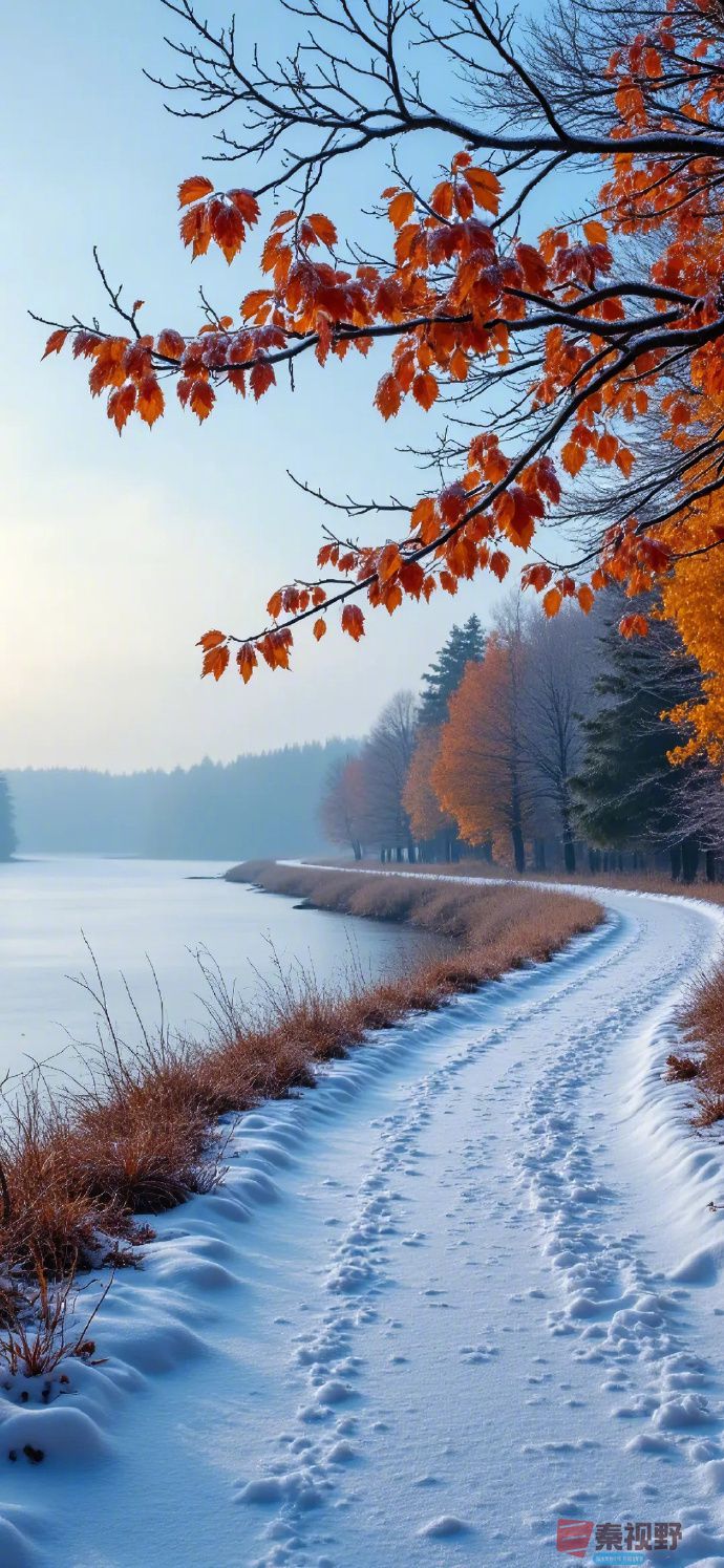 002qbEorgy1i84xomxildj60j615jdvb02 (1).jpg