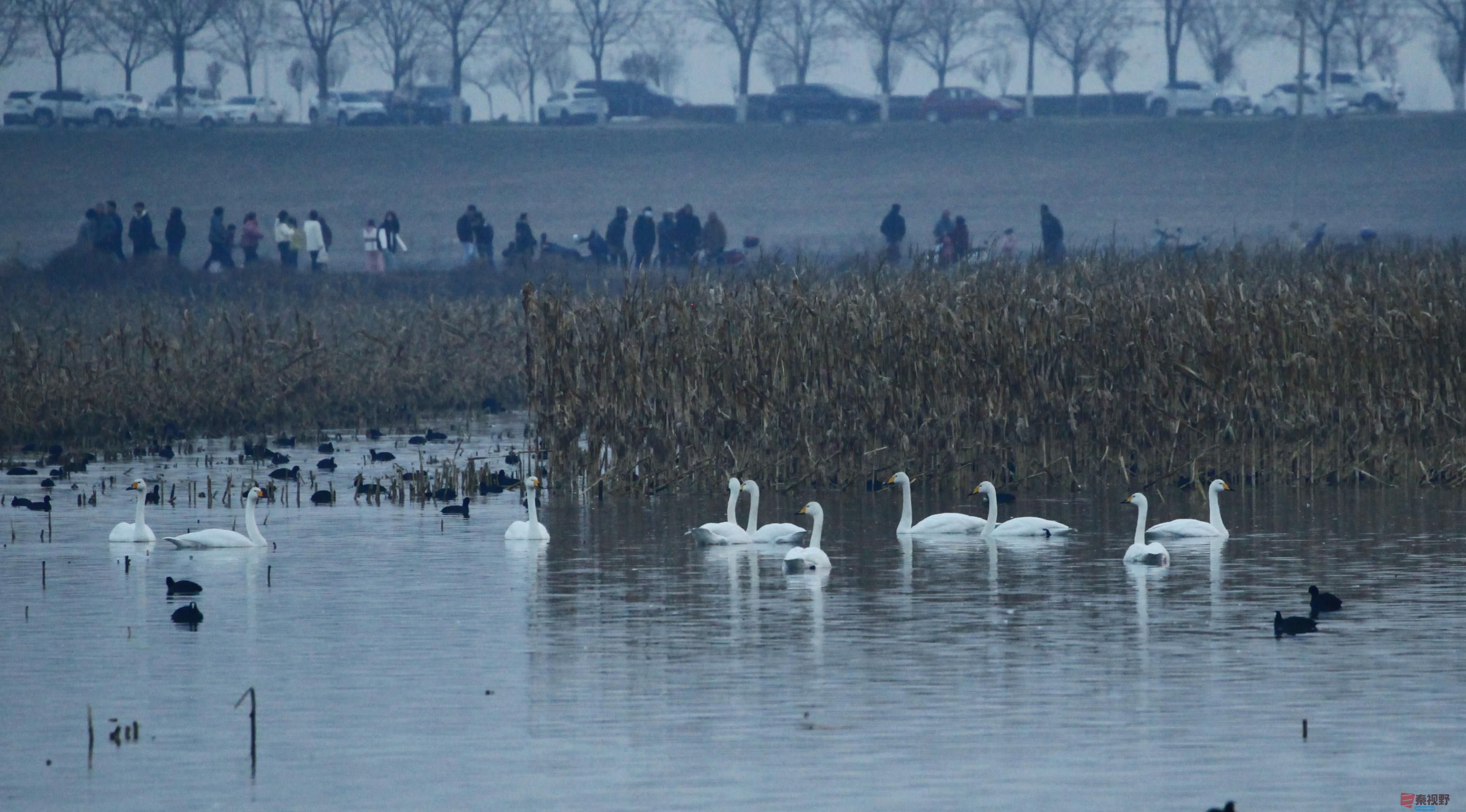 聂士平_20251207205752_976_149 (1).jpg