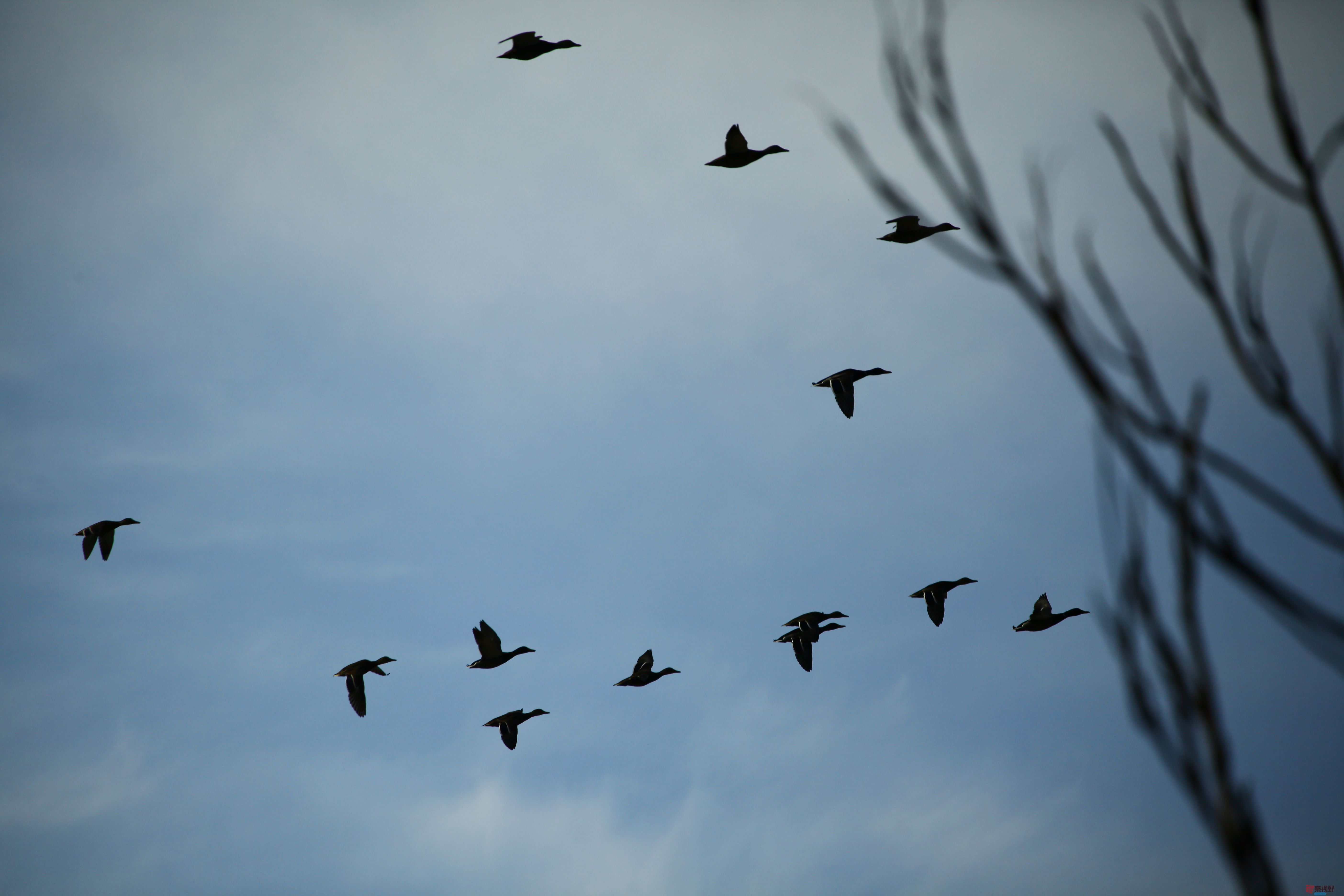 聂士平_20251207205752_976_149 (2).jpg