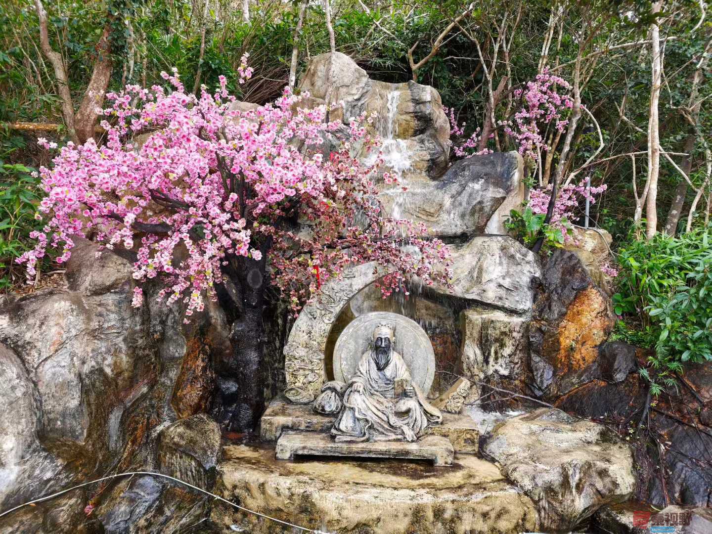 王文智_2025-12-14_193102_970 (2).jpg