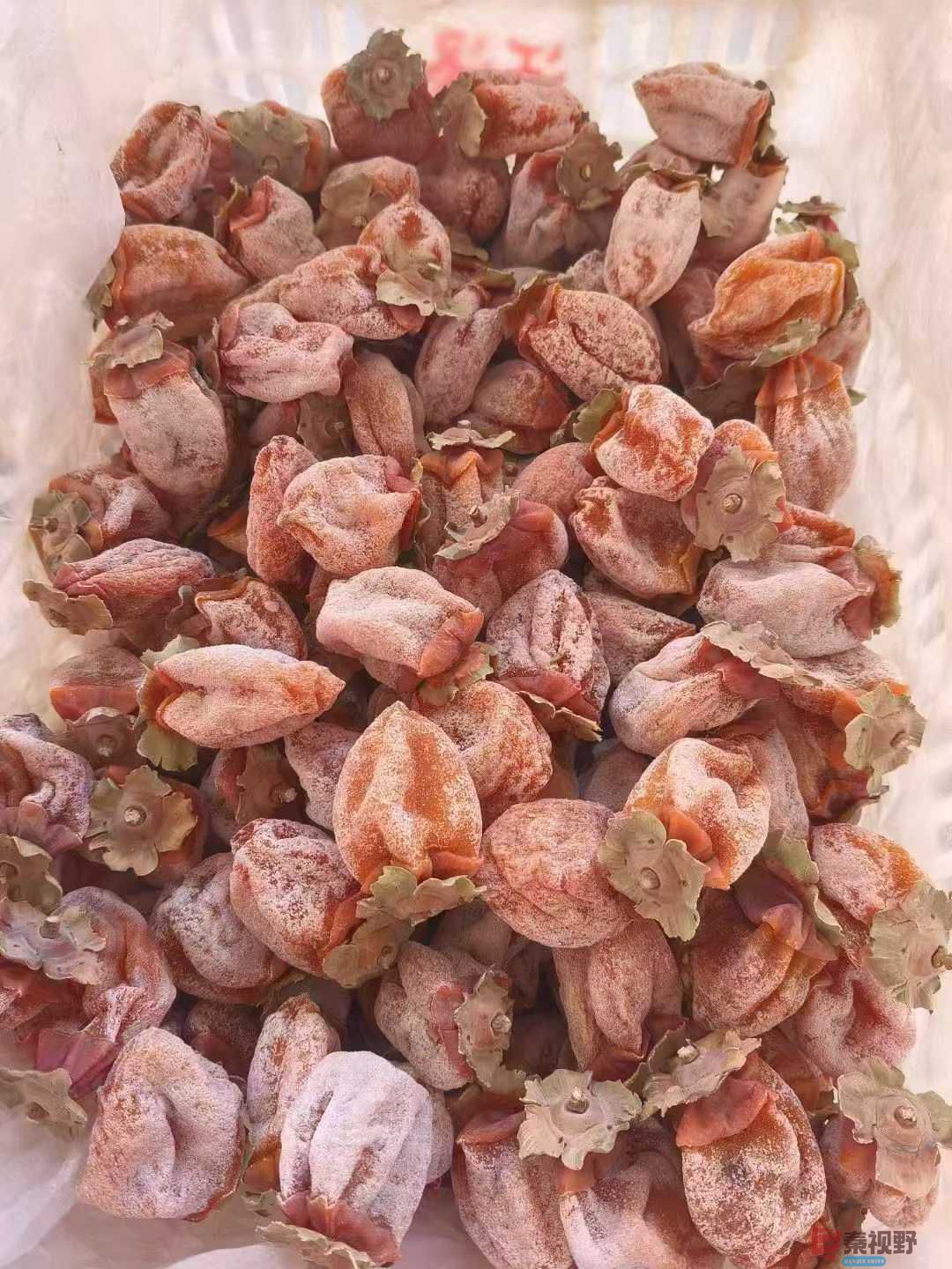 陈孟林_2025-12-16_102304_031 (7).jpg