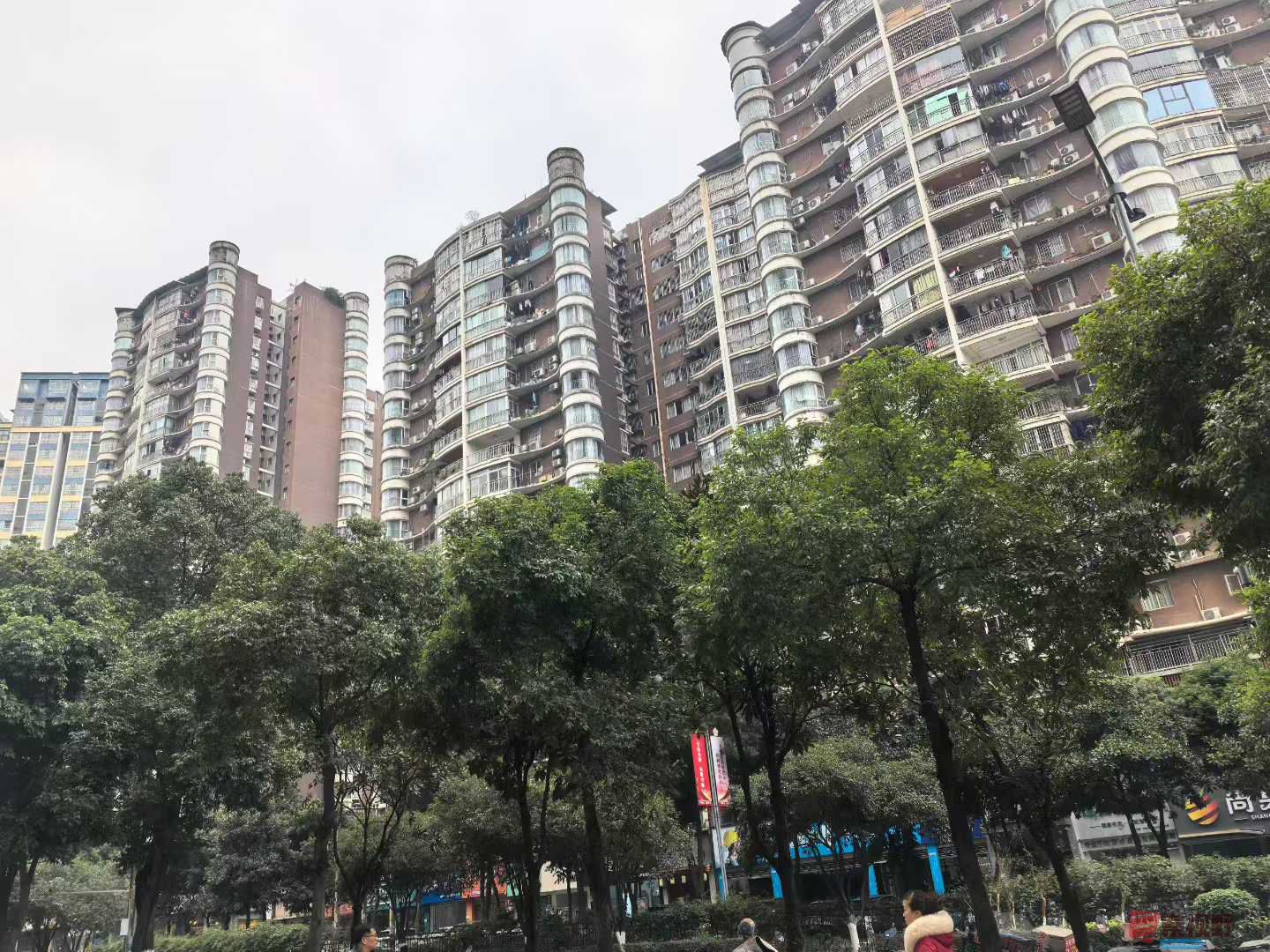 达州市吴宁_2025-12-16_102600_481 (7).jpg