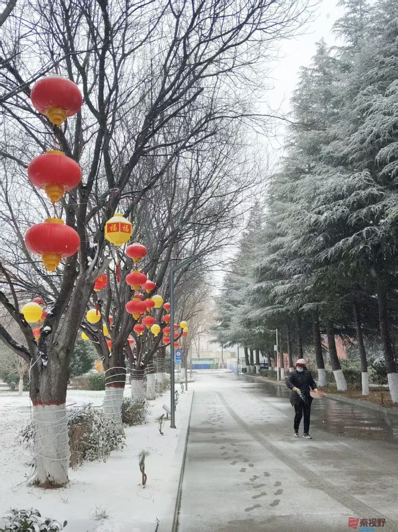 吕卫东_20260131180129_116_583 (1).jpg