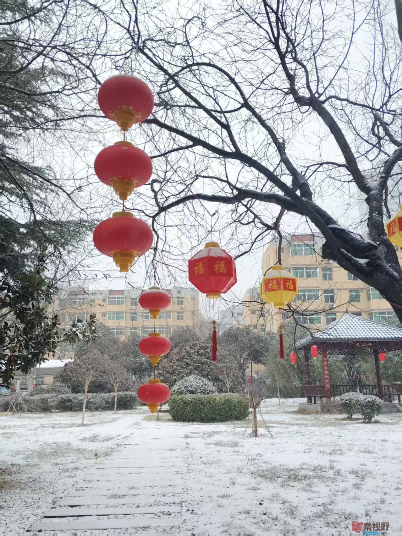 吕卫东_20260131180129_116_583 (2).jpg