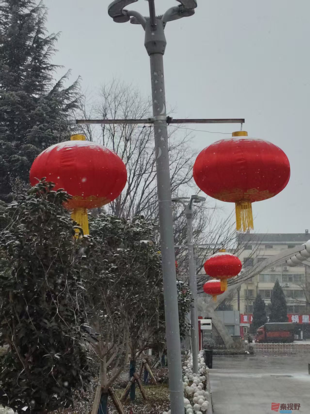 吕卫东_20260131180129_116_583 (7).jpg