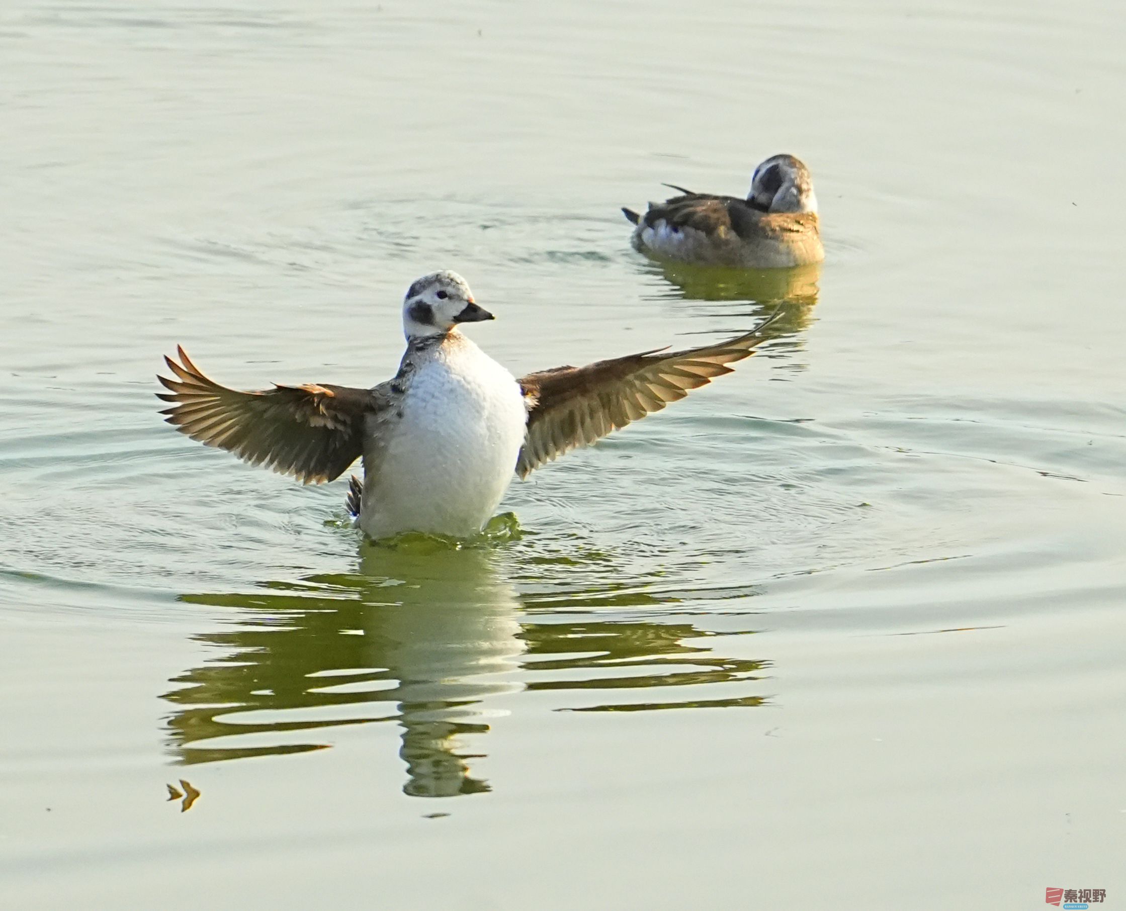 伍卸凤_20260131210906_7303_463 (5).jpg