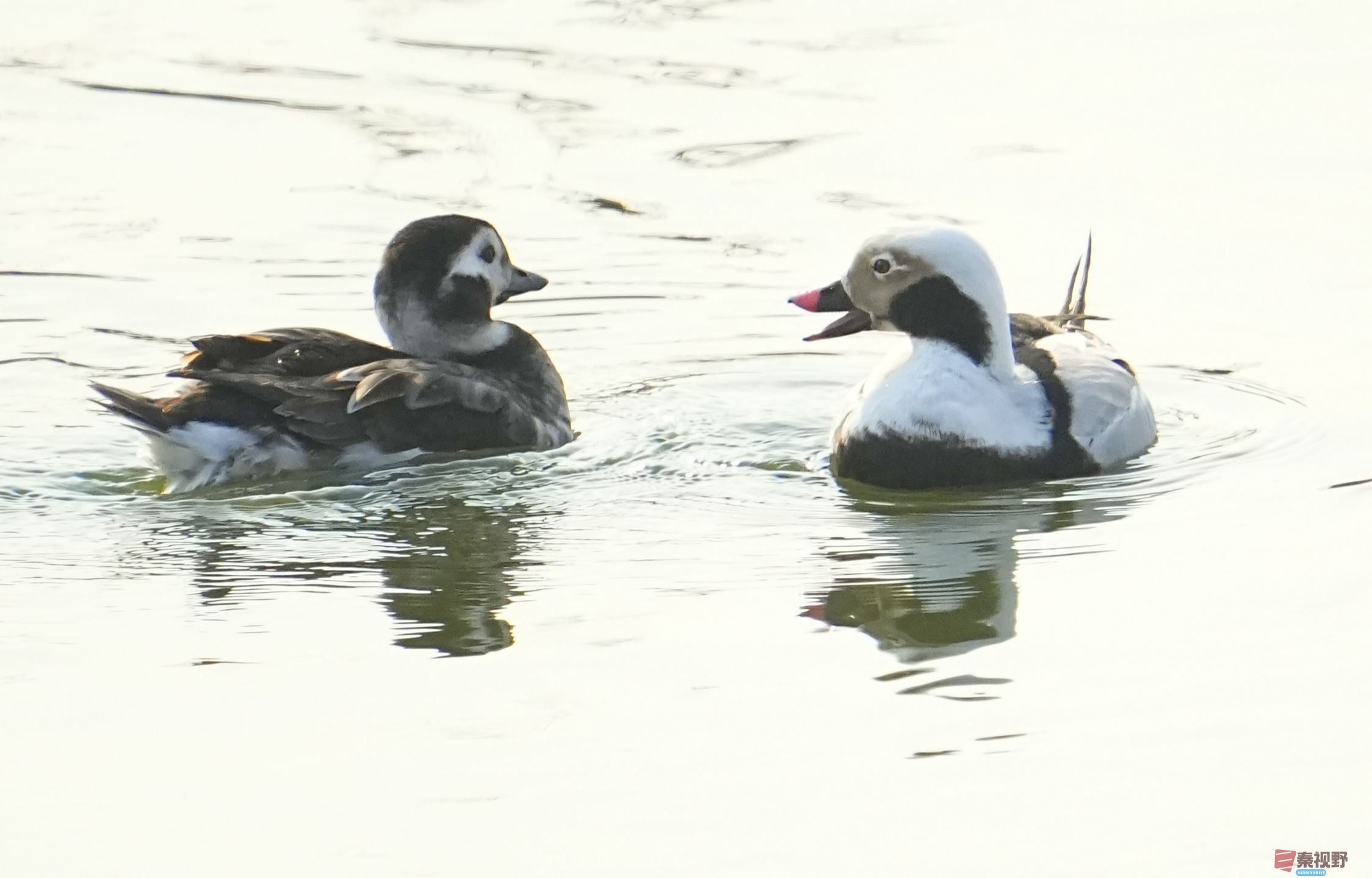 伍卸凤_20260131210906_7303_463 (10).jpg