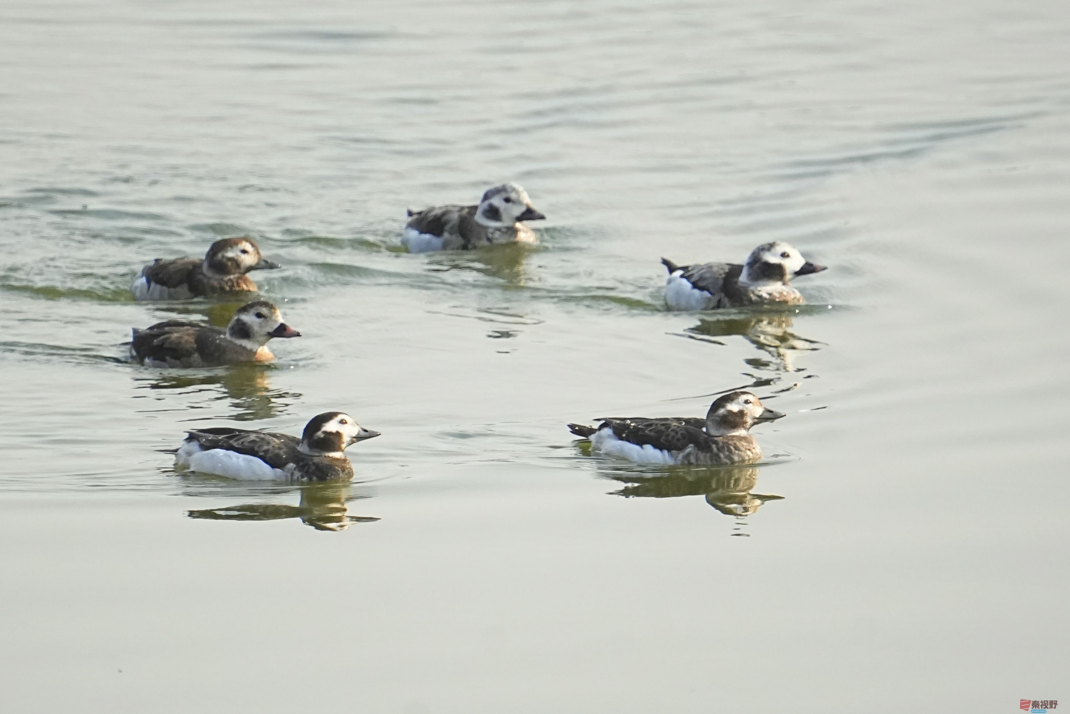 伍卸凤_20260131210906_7303_463 (15).jpg